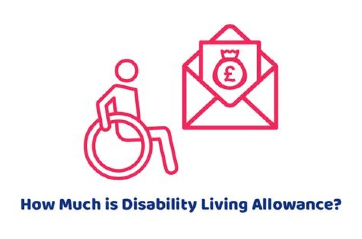When do you no longer qualify for Disability Allowance?