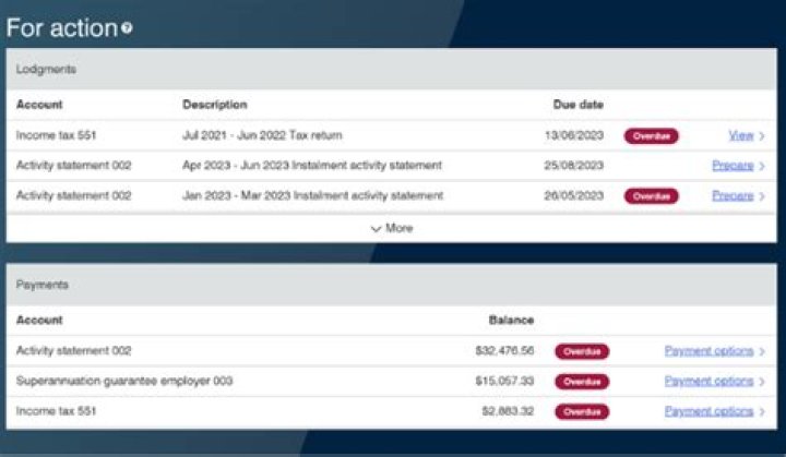 When should I see my tax return in my account?