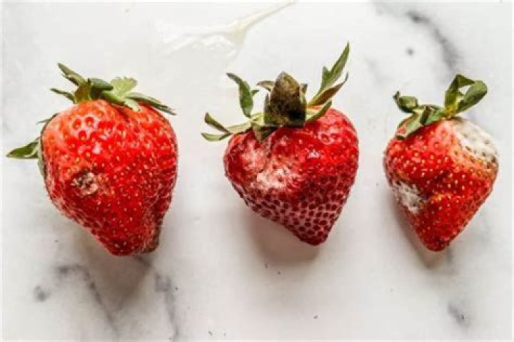 When should you not eat a strawberry?