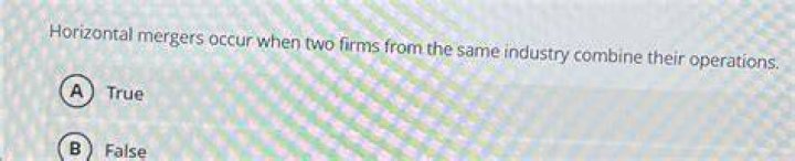 When two firms combine together in the same industry it is called?