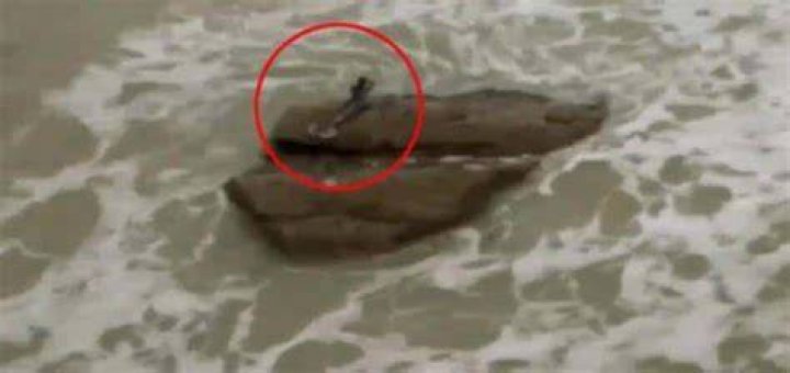 When was the first mermaid spotted?