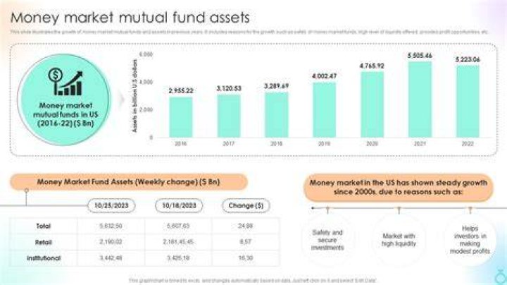 When was the money market mutual fund establishment?
