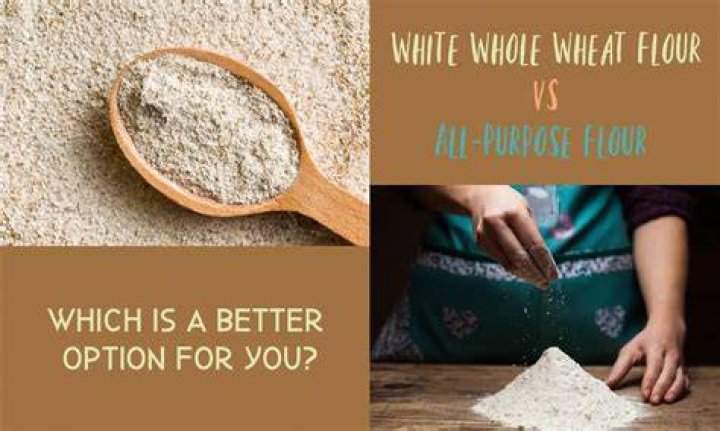 When was white flour invented?