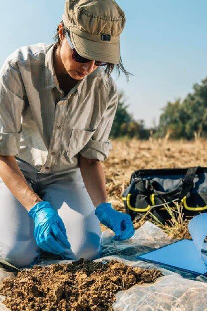 Where are agronomist found?
