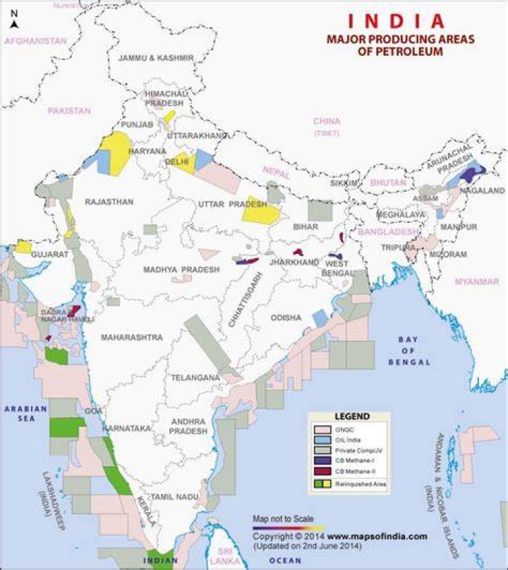 Where are coal and petroleum found in India?