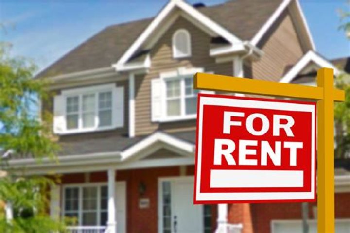 Where can I find a house for rent?