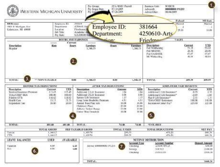 Where can I find my employee ID number on ADP?