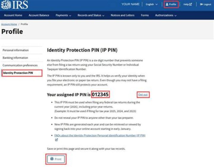 Where can I get my IRS IP pin?