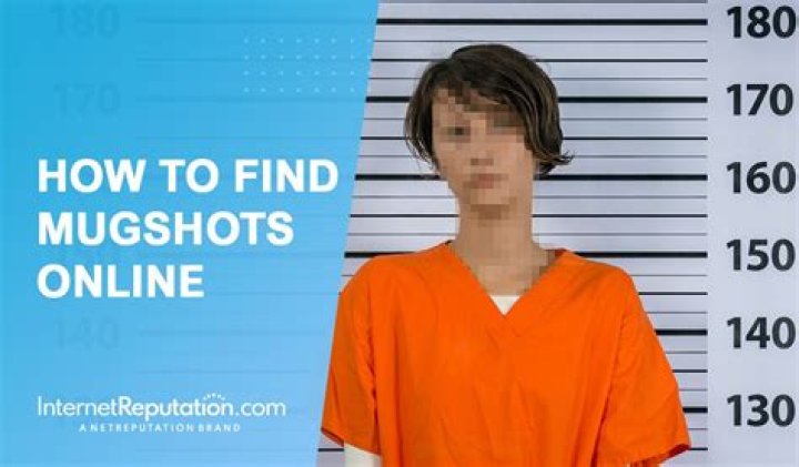 Where can I view local mugshots for free?
