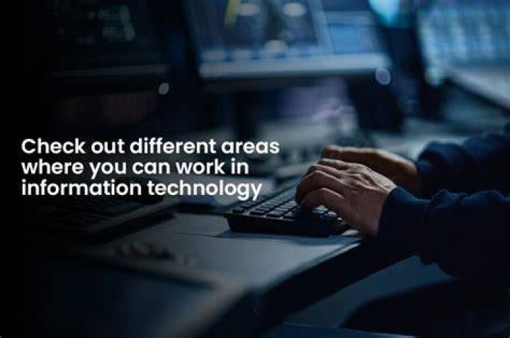 Where can I work after studying information technology?