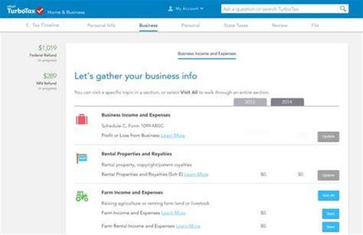 Where do I enter business expenses in TurboTax?