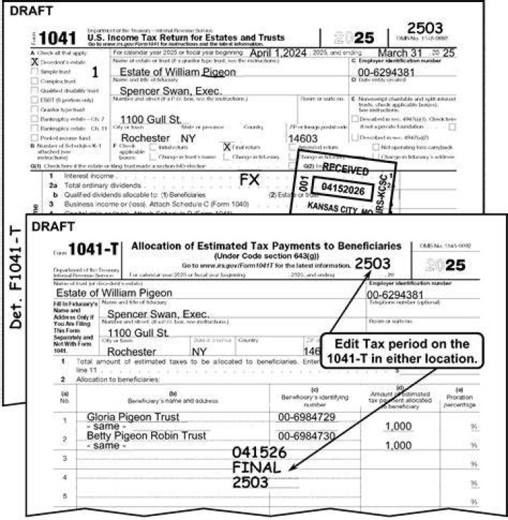 Where do I report funeral expenses on 1041?