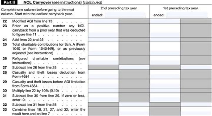 Where do I report NOL carryover on 1040?