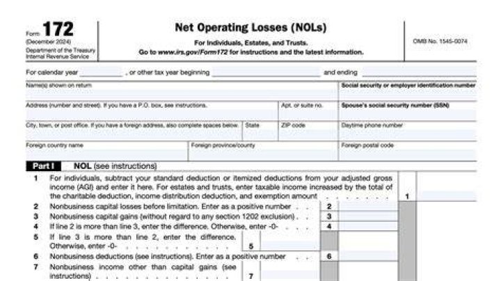 Where do I report NOL on Form 1040?