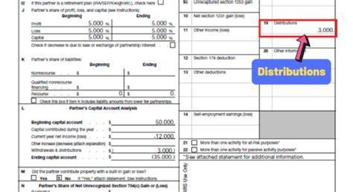 Where do you report a loss on a K-1?