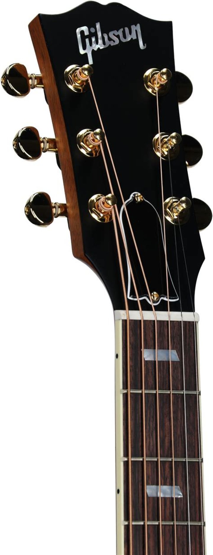 Where does Gibson get its rosewood?