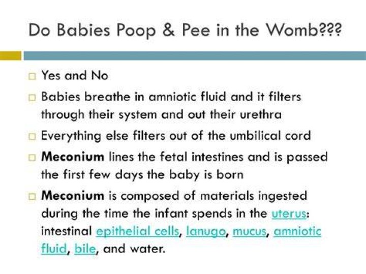 Where does the baby's pee go in the womb?