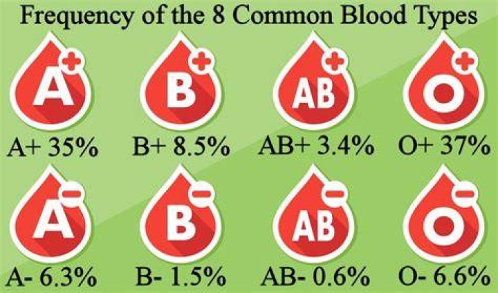 Where is B+ blood most common?