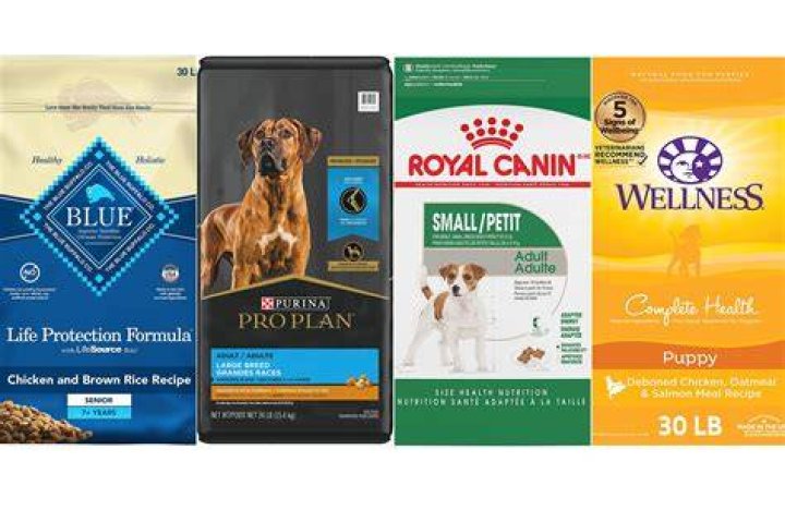Where is best dog food sold?