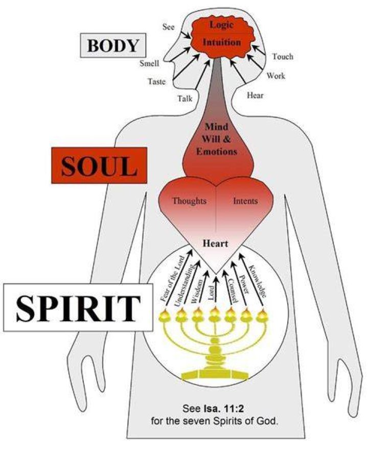 Where is the Holy Spirit located in the body?