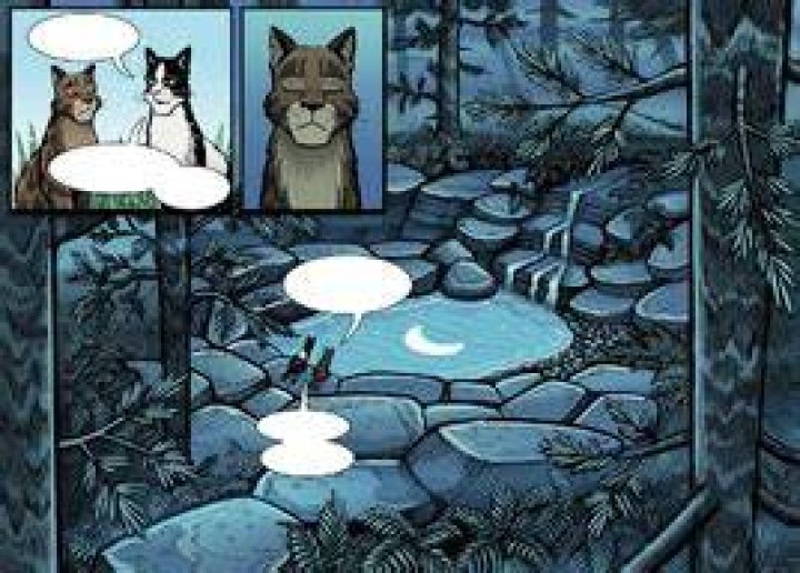 Where is the moonpool in Warriors?