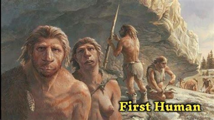 Where was the first person born?