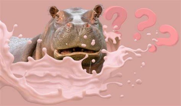 Which animal has pink milk?