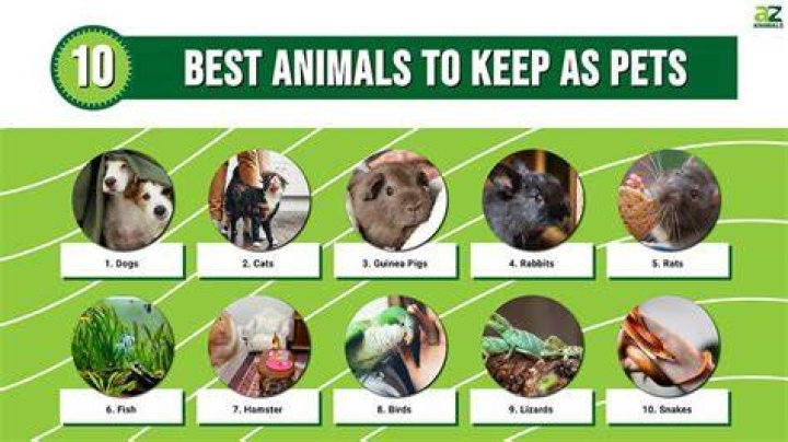 Which animal picture is good for home?