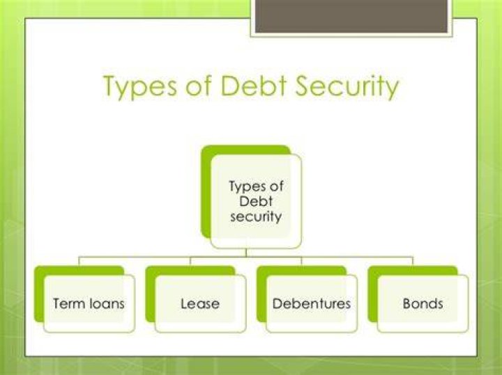 Which are the categories of debt securities?