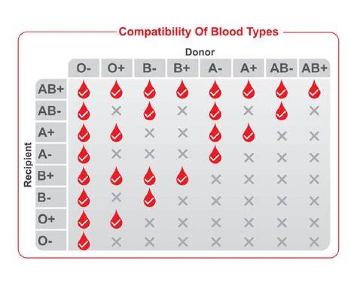 Which blood type is intelligent?