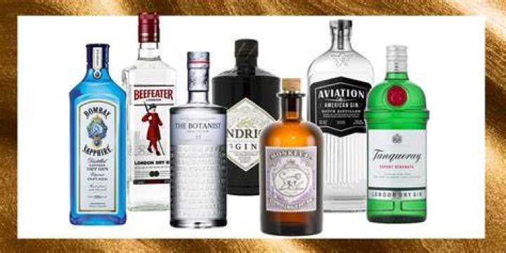 Which brand of gin is best?