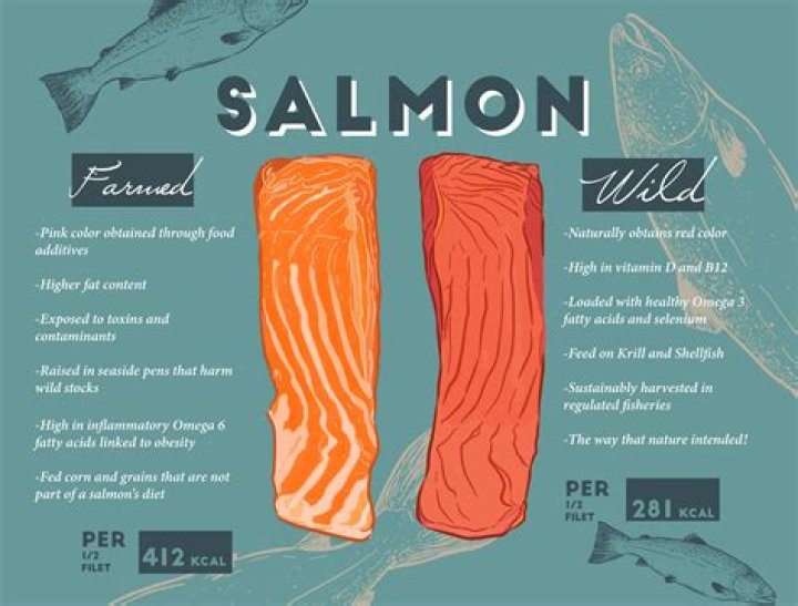 Which canned salmon is not farmed?
