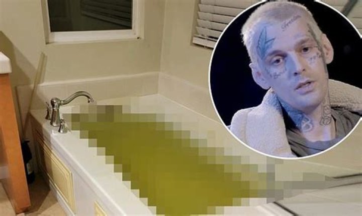 Which celebrity drowned in a bath?