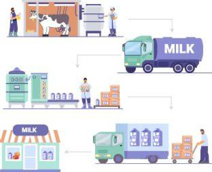 Which channel is use for distribution of milk?