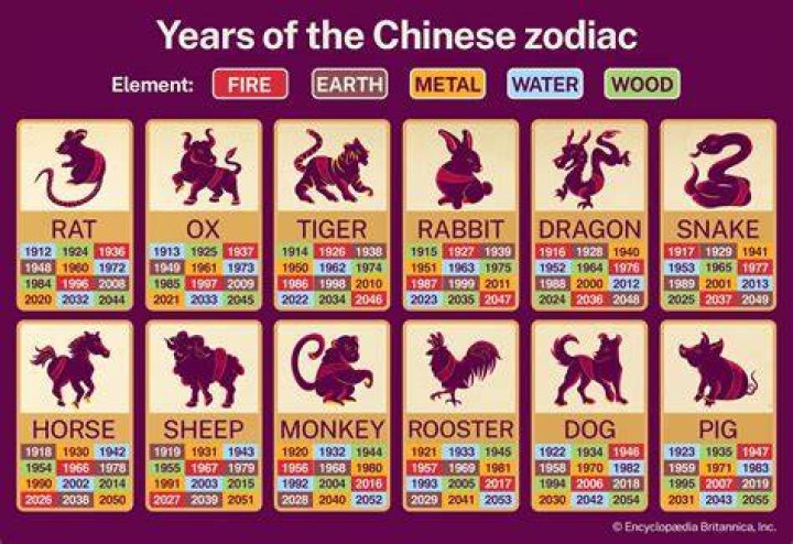 Which Chinese zodiac came first?
