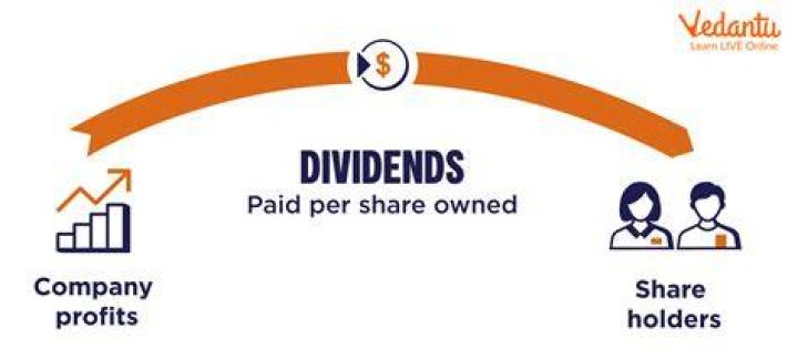 Which company will give dividend share in 2021?