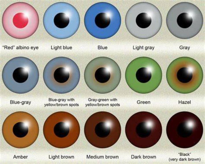 Which eye color has the best vision?