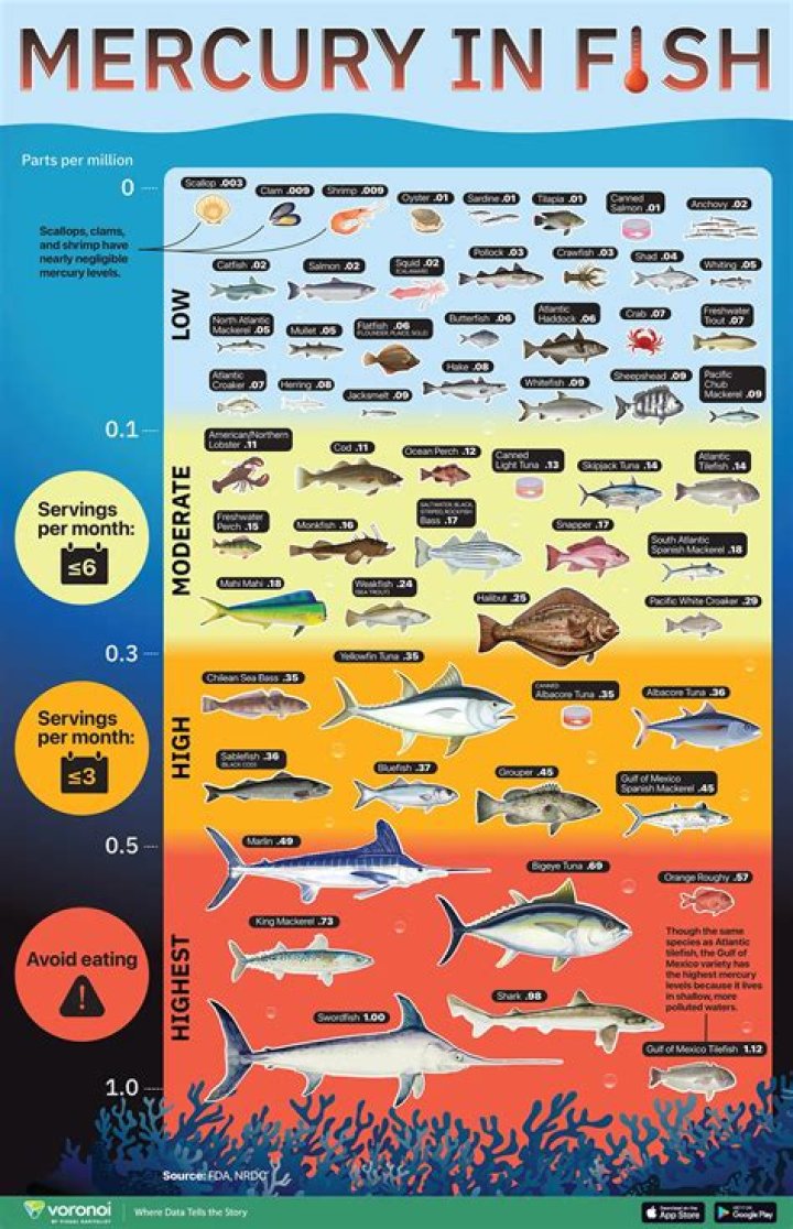 Which fish have high mercury content?