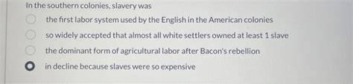 Which groups of people were used as labor in the colonies?