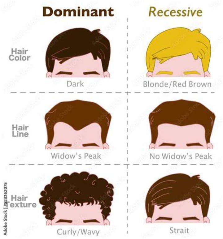 Which hair type is dominant?