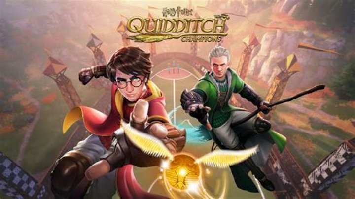 Which house was best at Quidditch?