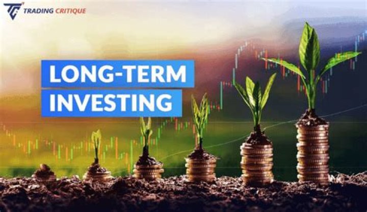 Which investment provides the best long term growth?