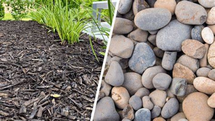 Which is better mulch or rocks?