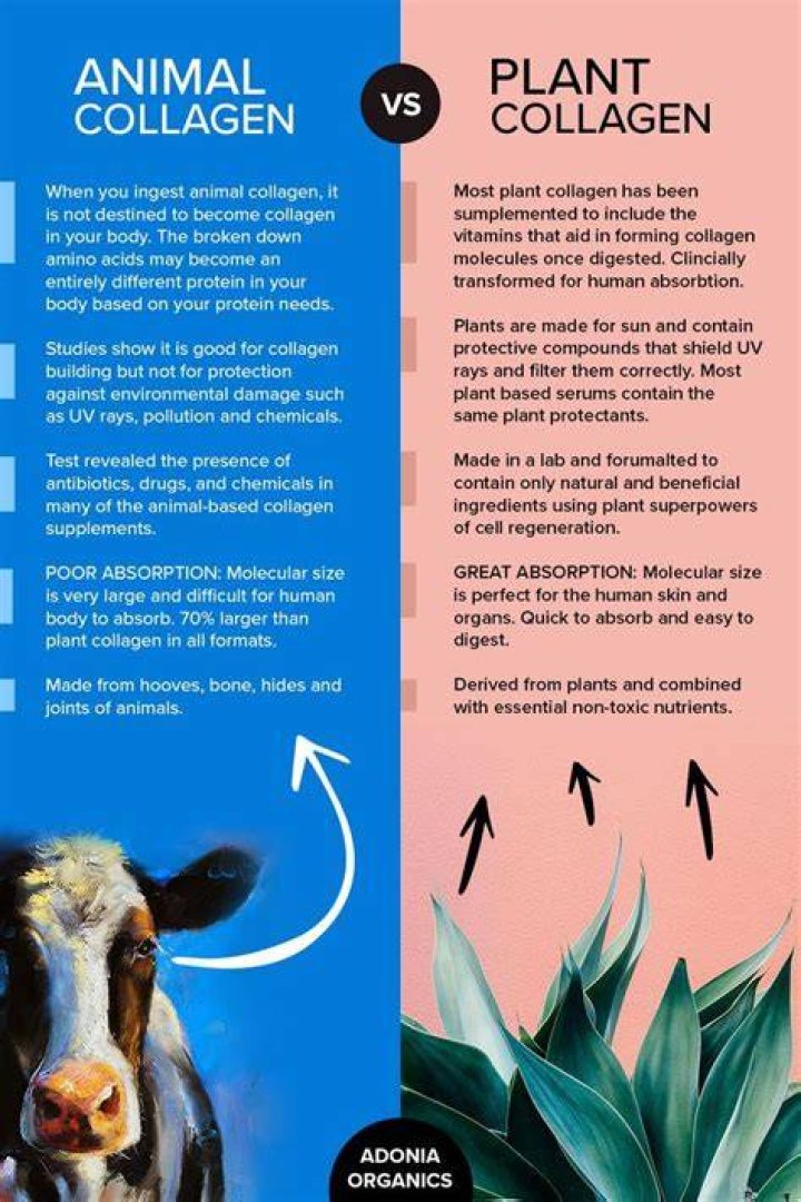 Which is better plant or animal collagen?