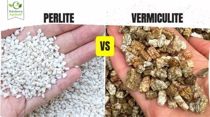 Which is better vermiculite or perlite?
