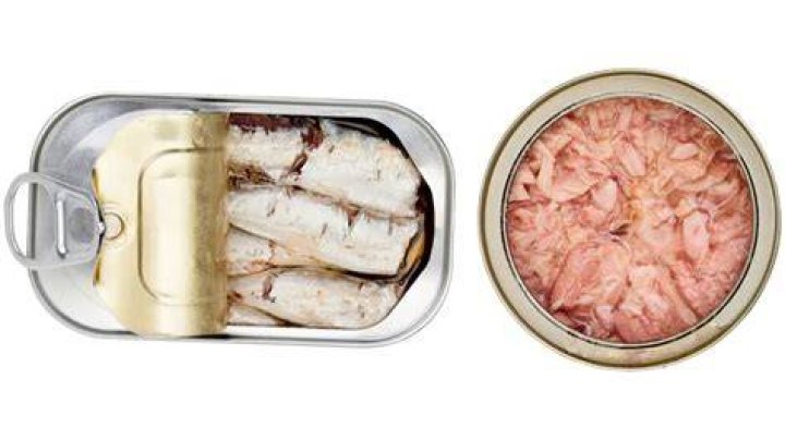 Which is healthier sardines or tuna?