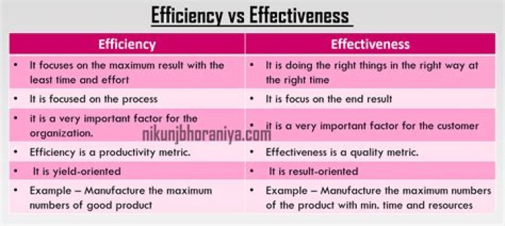 Which is more important in business effectiveness or efficiency?