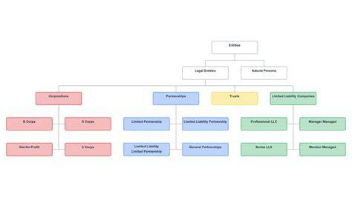 Which is the most complex business entity structure?