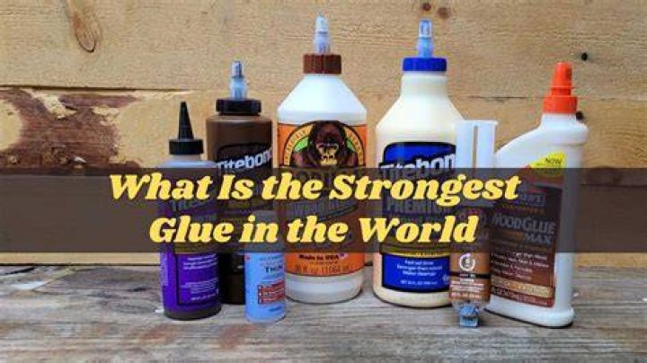 Which milk makes the strongest glue?