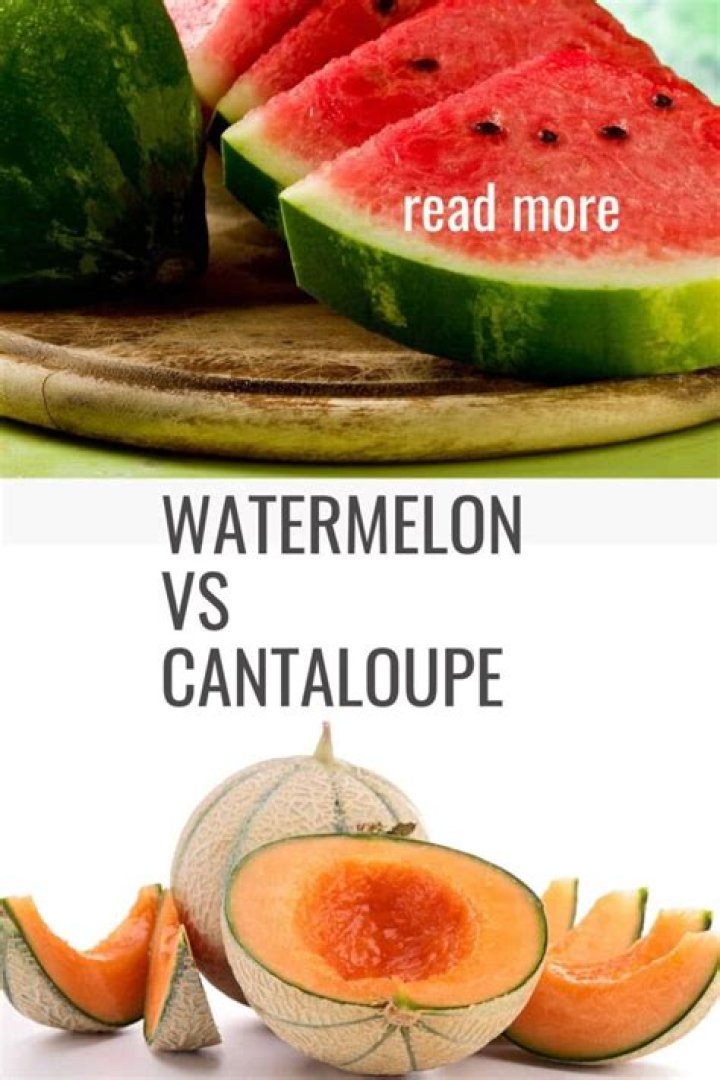 Which one is healthier watermelon or cantaloupe?